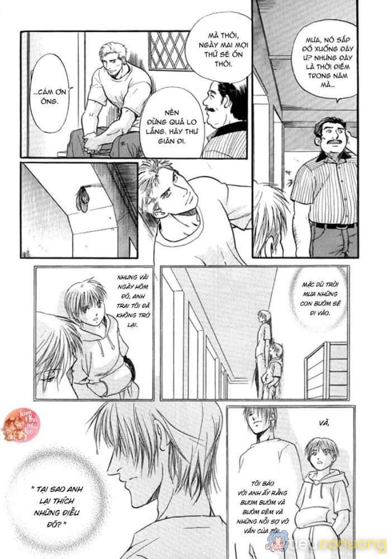 Oneshot BL Từ Nhiều Tác Giả - MLèo Dịch Chapter 122 - Page 23