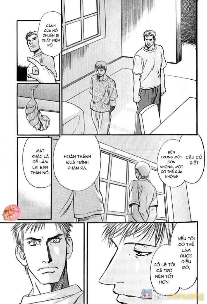 Oneshot BL Từ Nhiều Tác Giả - MLèo Dịch Chapter 122 - Page 26