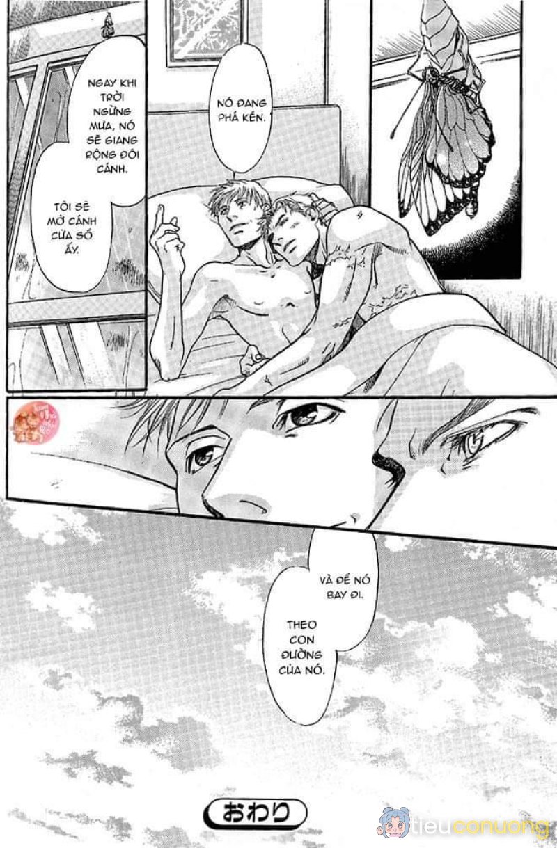 Oneshot BL Từ Nhiều Tác Giả - MLèo Dịch Chapter 122 - Page 35