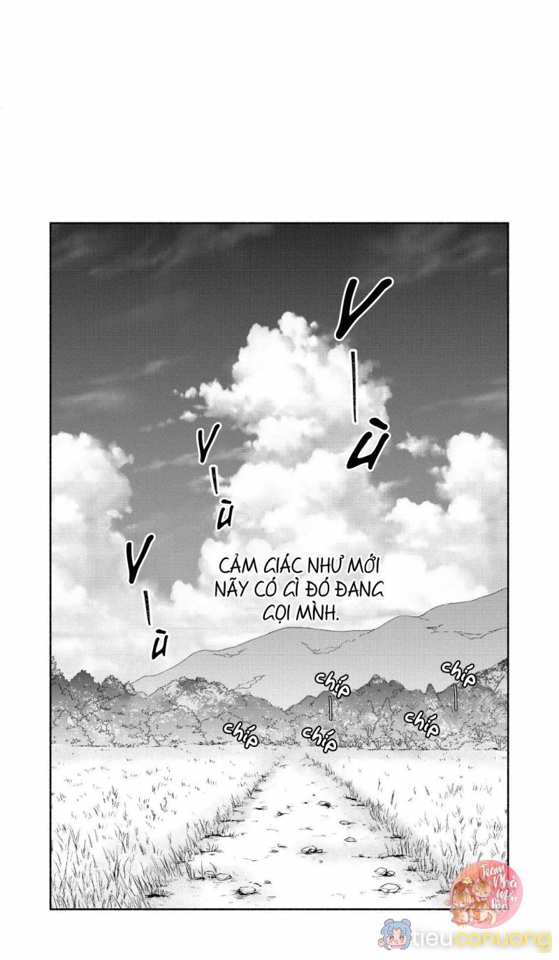 Oneshot BL Từ Nhiều Tác Giả - MLèo Dịch Chapter 169 - Page 2