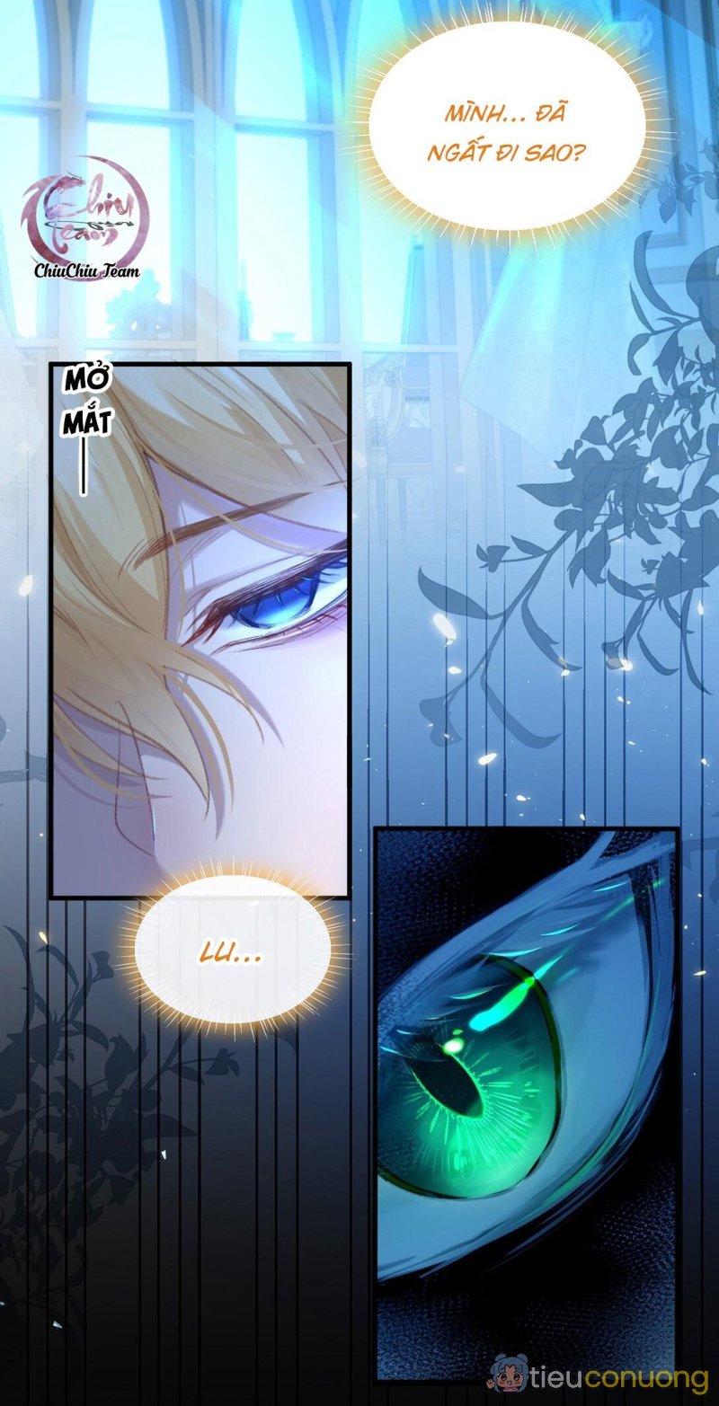 Ác quỷ và người thừa kế của hắn Chapter 5 - Page 13