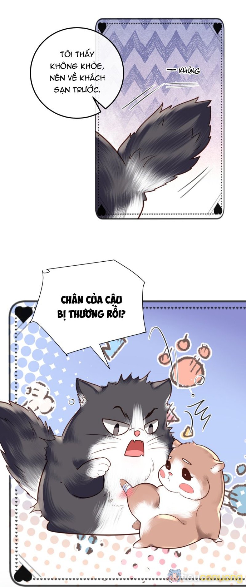 Tổng Tài Định Chế Tư Nhân Chapter 23 - Page 5