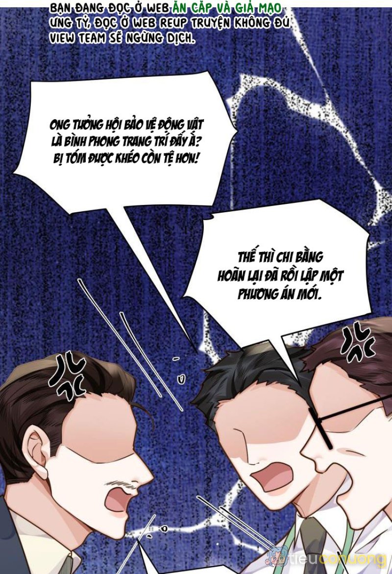 Tổng Tài Định Chế Tư Nhân Chapter 8 - Page 13