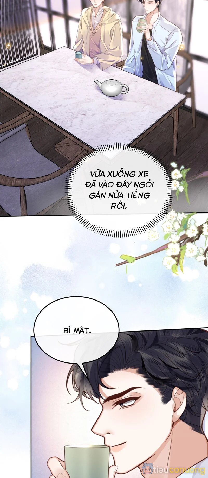 Tổng Tài Định Chế Tư Nhân Chapter 73 - Page 4