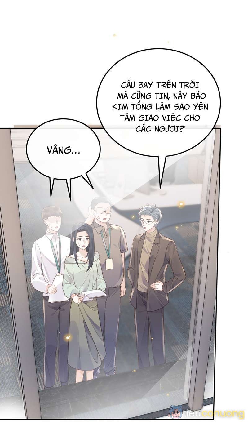 Tổng Tài Định Chế Tư Nhân Chapter 45 - Page 29