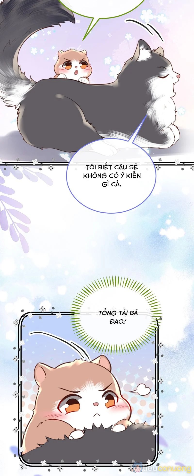 Tổng Tài Định Chế Tư Nhân Chapter 81 - Page 19