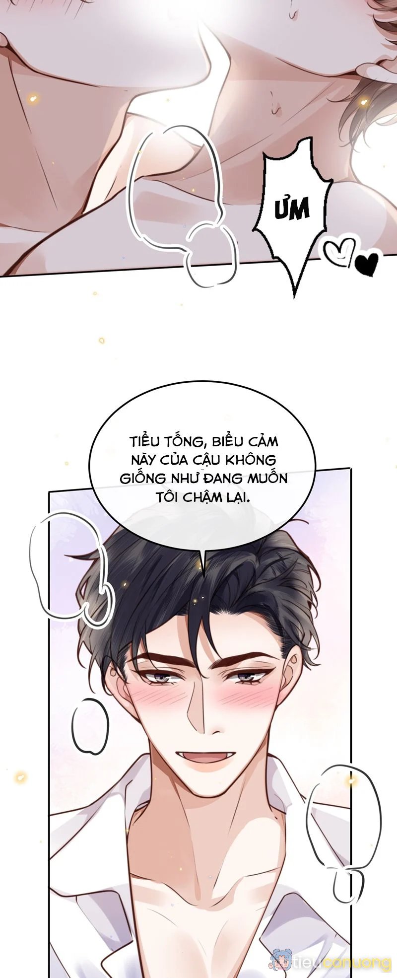 Tổng Tài Định Chế Tư Nhân Chapter 81 - Page 6