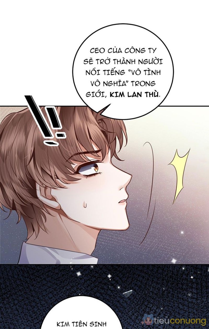 Tổng Tài Định Chế Tư Nhân Chapter 1 - Page 45