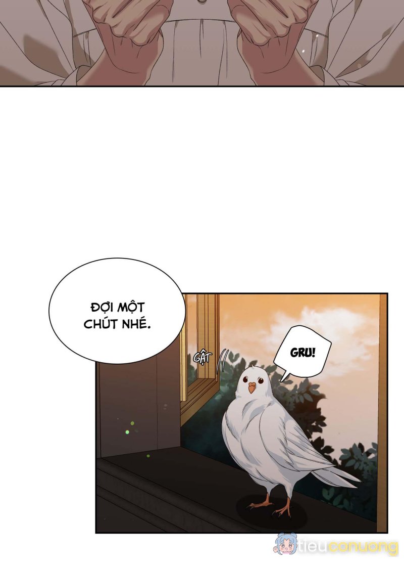 ÁI TÌNH TỰ TÂM Chapter 20 - Page 37