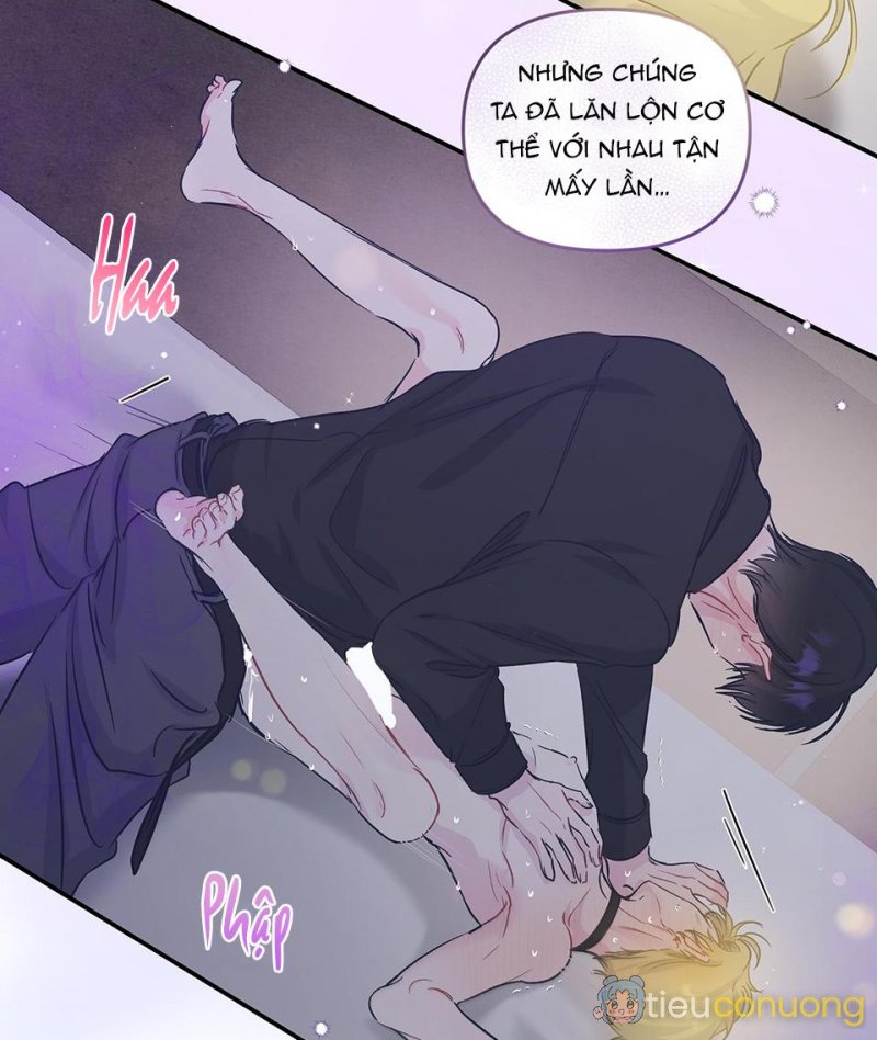 ĐẢO NGƯỢC CỦA ĐẢO NGƯỢC Chapter 19 - Page 16