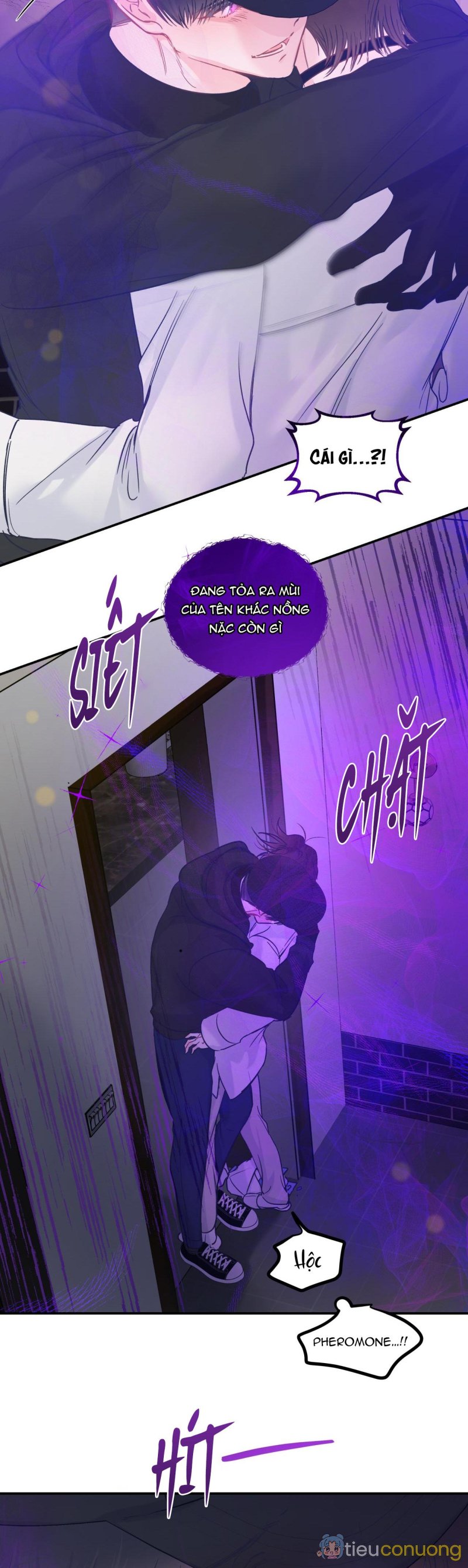 ĐẢO NGƯỢC CỦA ĐẢO NGƯỢC Chapter 33 - Page 7