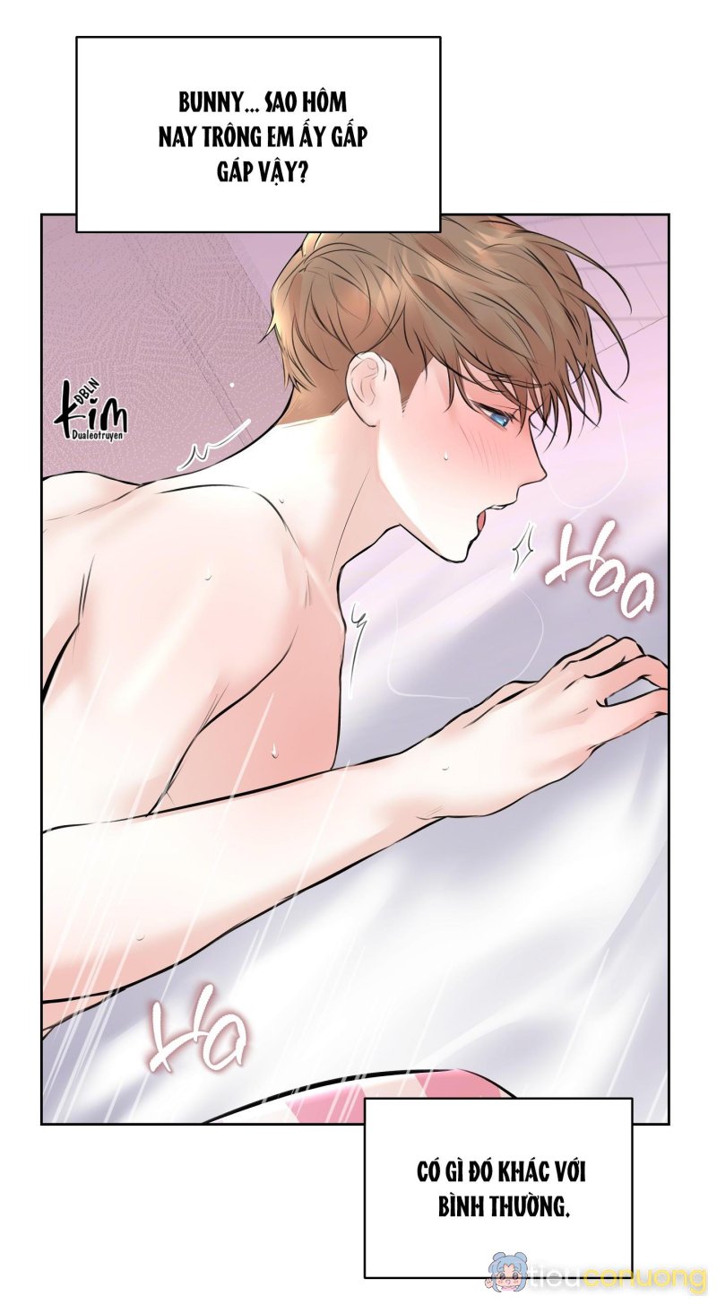 CAMBOY BUNNY Chapter 6 - Page 42