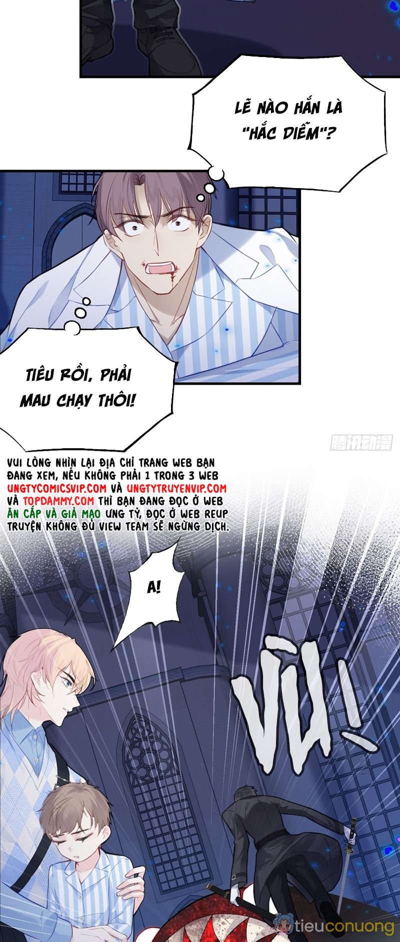 Anh Ấy Chưa Từng Rơi Xuống Chapter 38 - Page 11