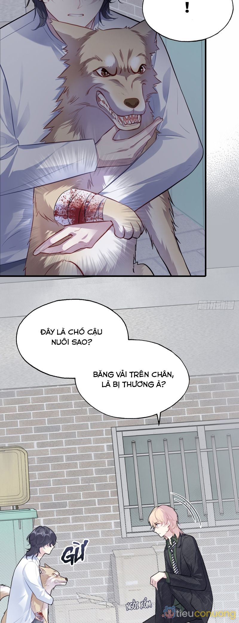 Anh Ấy Chưa Từng Rơi Xuống Chapter 78 - Page 23