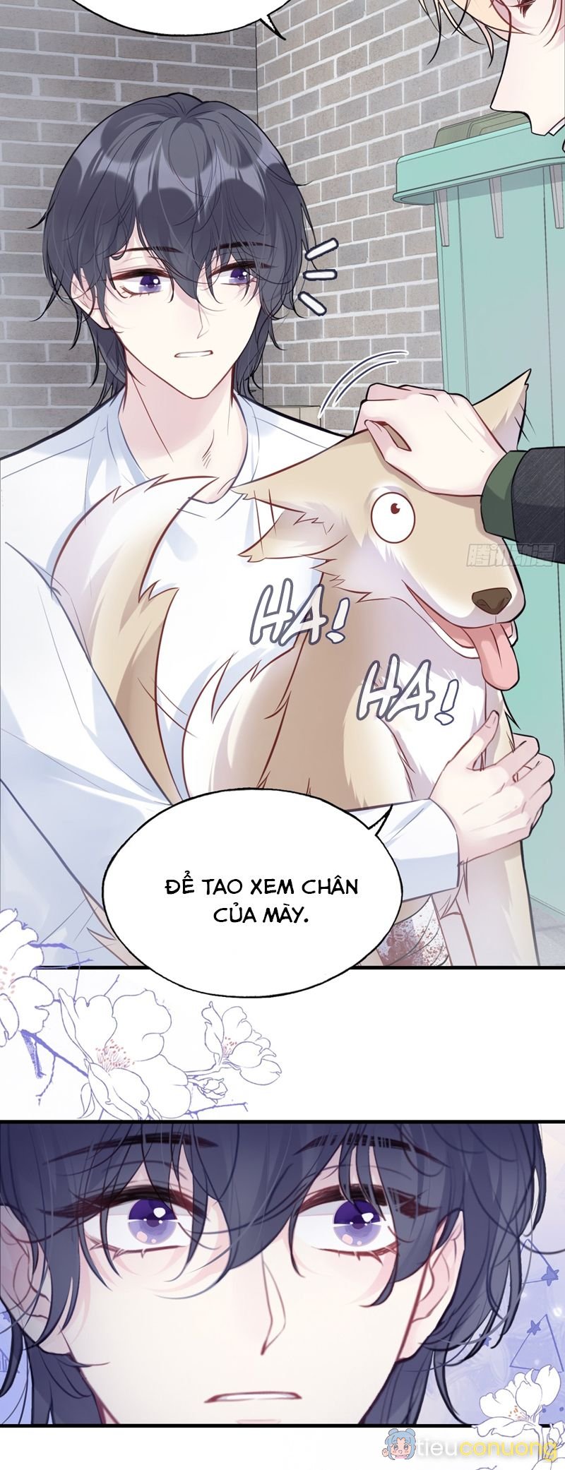 Anh Ấy Chưa Từng Rơi Xuống Chapter 78 - Page 26