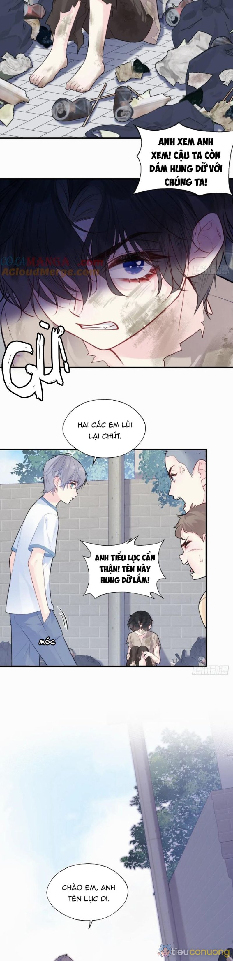 Anh Ấy Chưa Từng Rơi Xuống Chapter 86 - Page 15