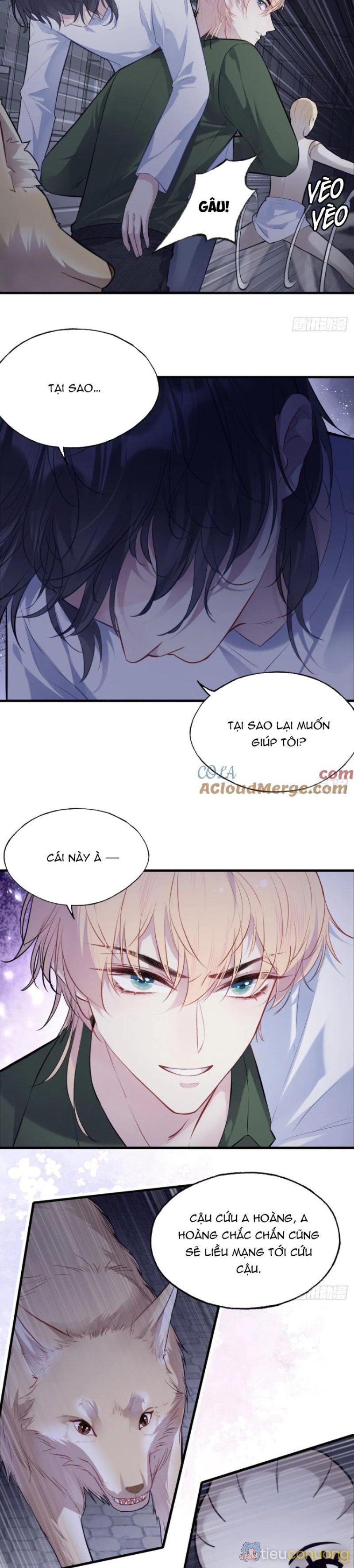 Anh Ấy Chưa Từng Rơi Xuống Chapter 82 - Page 12