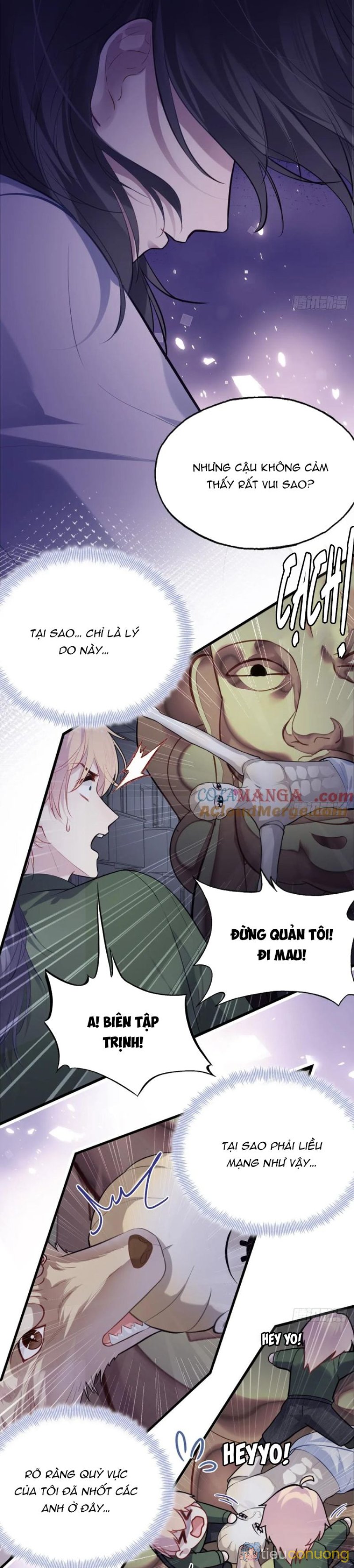 Anh Ấy Chưa Từng Rơi Xuống Chapter 82 - Page 14