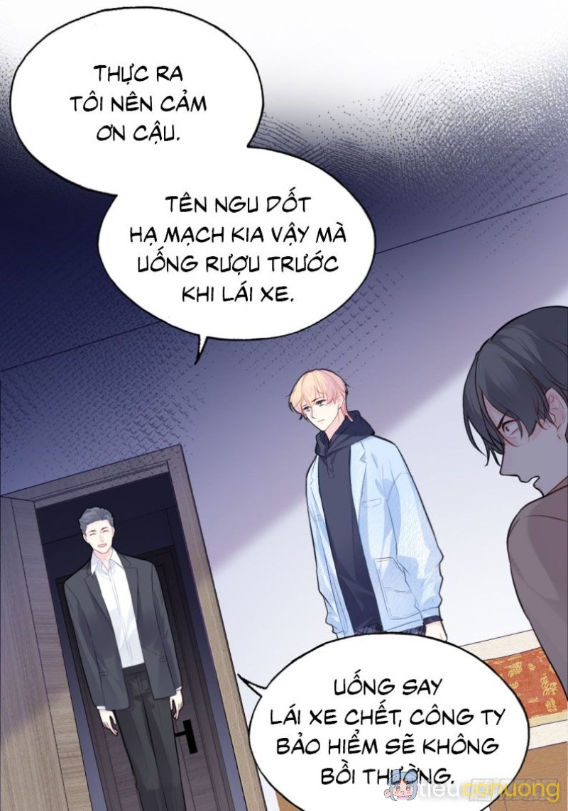 Anh Ấy Chưa Từng Rơi Xuống Chapter 66 - Page 19