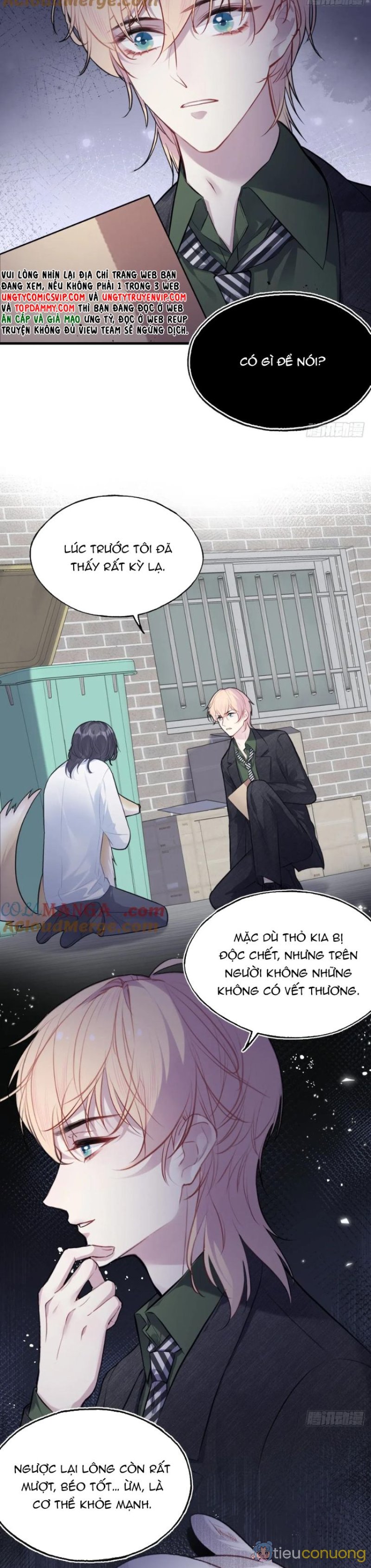 Anh Ấy Chưa Từng Rơi Xuống Chapter 79 - Page 3