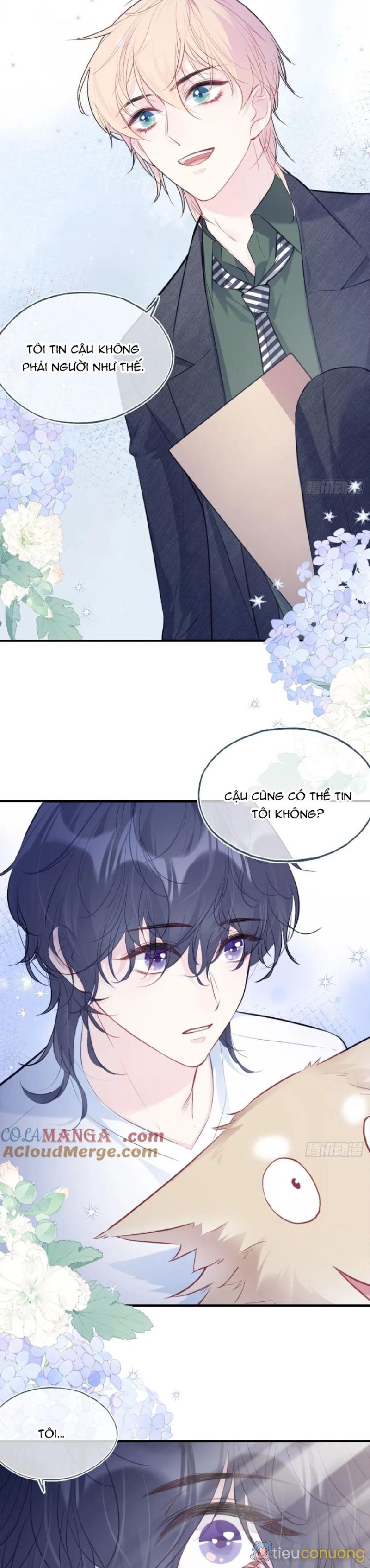 Anh Ấy Chưa Từng Rơi Xuống Chapter 79 - Page 5