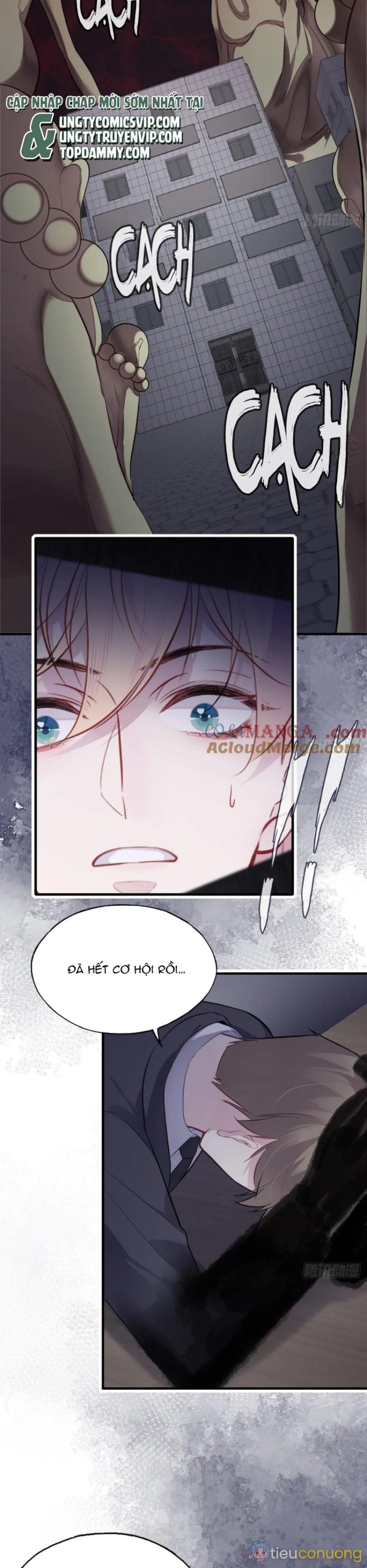 Anh Ấy Chưa Từng Rơi Xuống Chapter 80 - Page 14