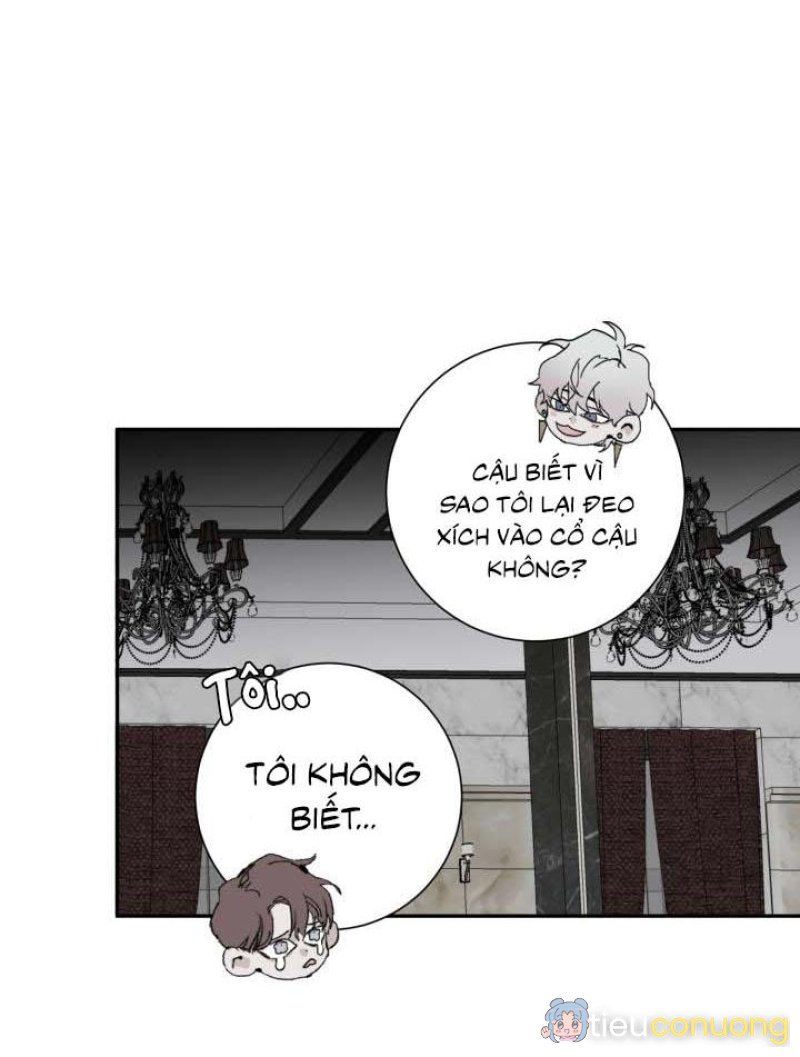 Lãng mạn một chiều Chapter 3 - Page 48