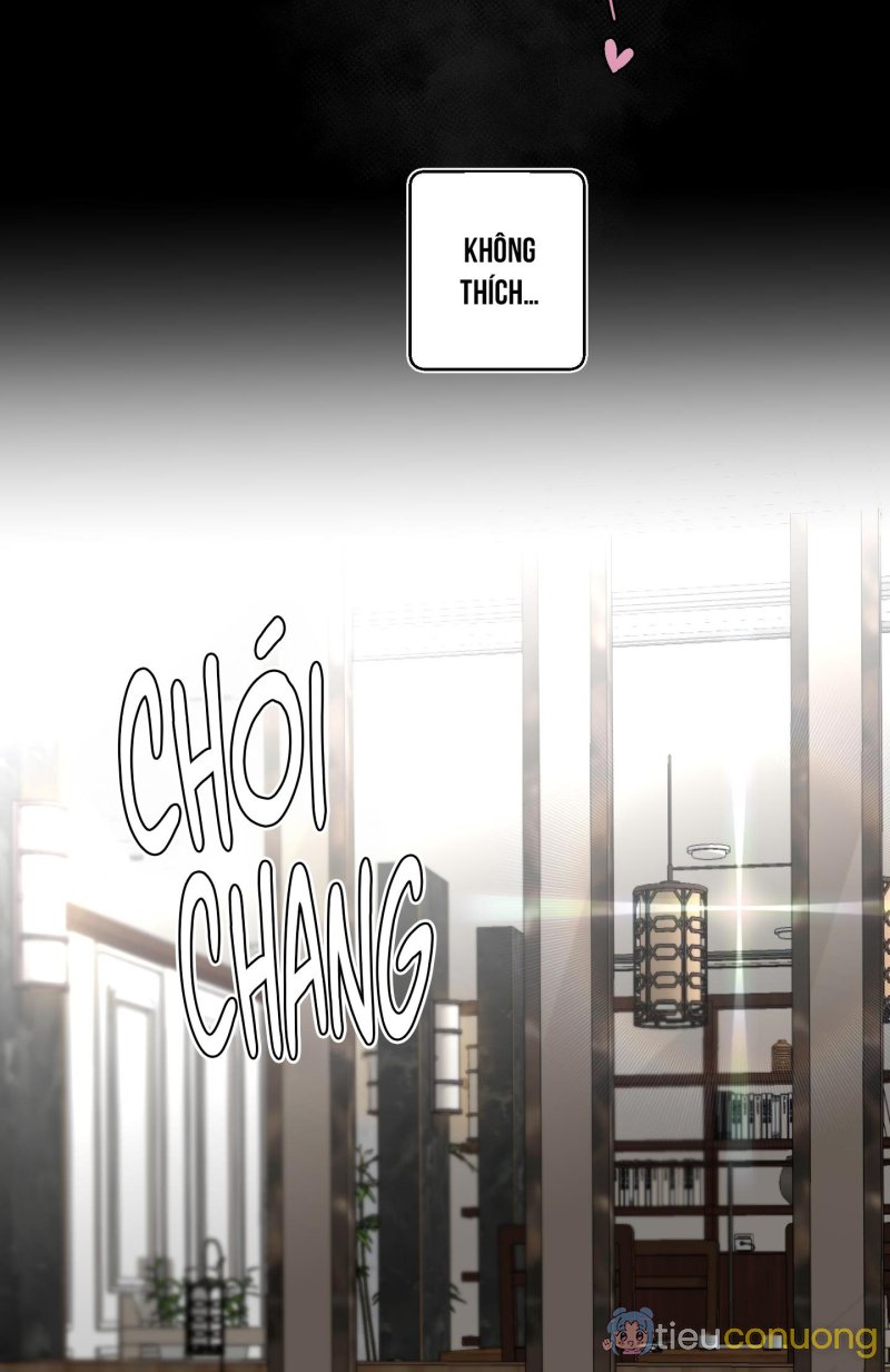 Lãng mạn một chiều Chapter 12 - Page 8