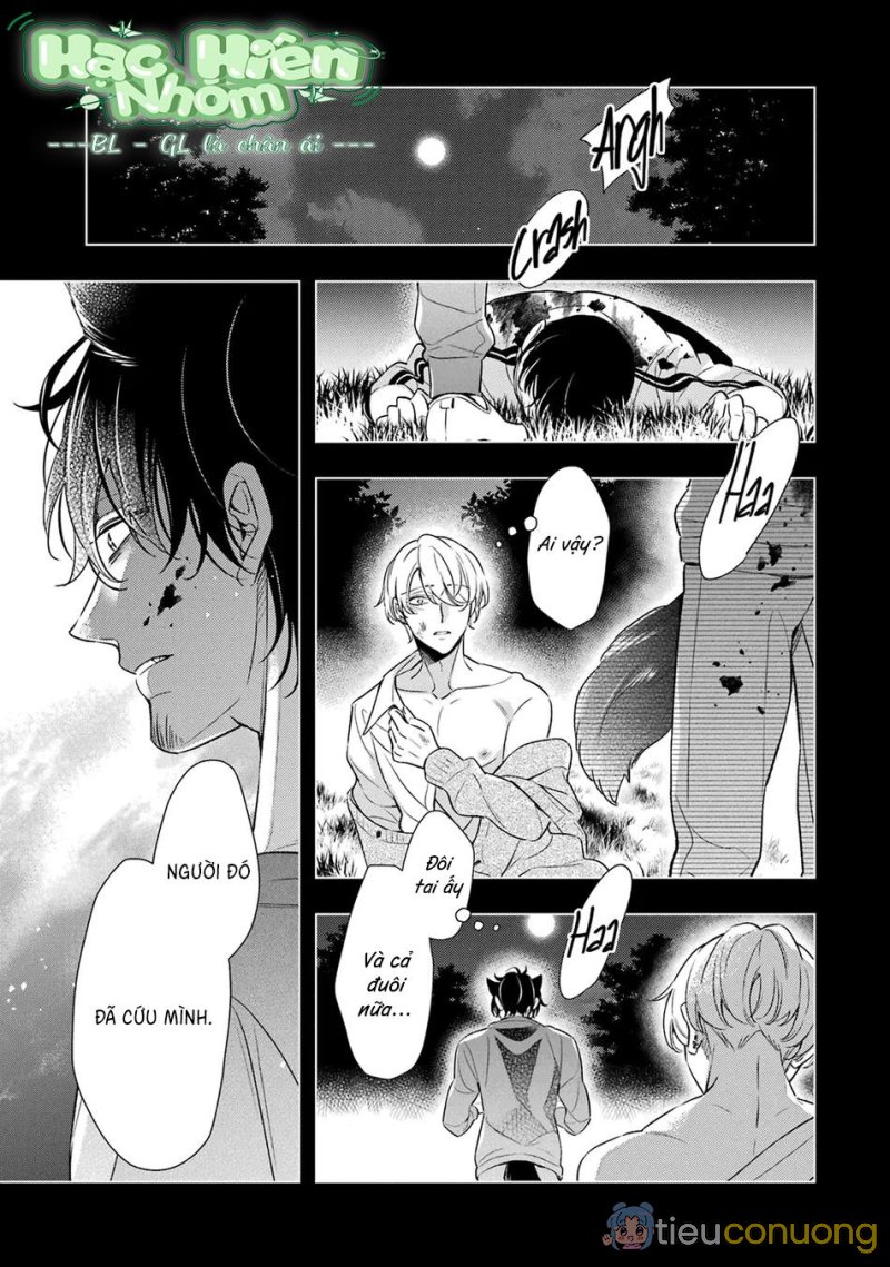 Cậu người sói này muốn ăn thịt chàng thám tử ưa thích của mình Chapter 7 - Page 3