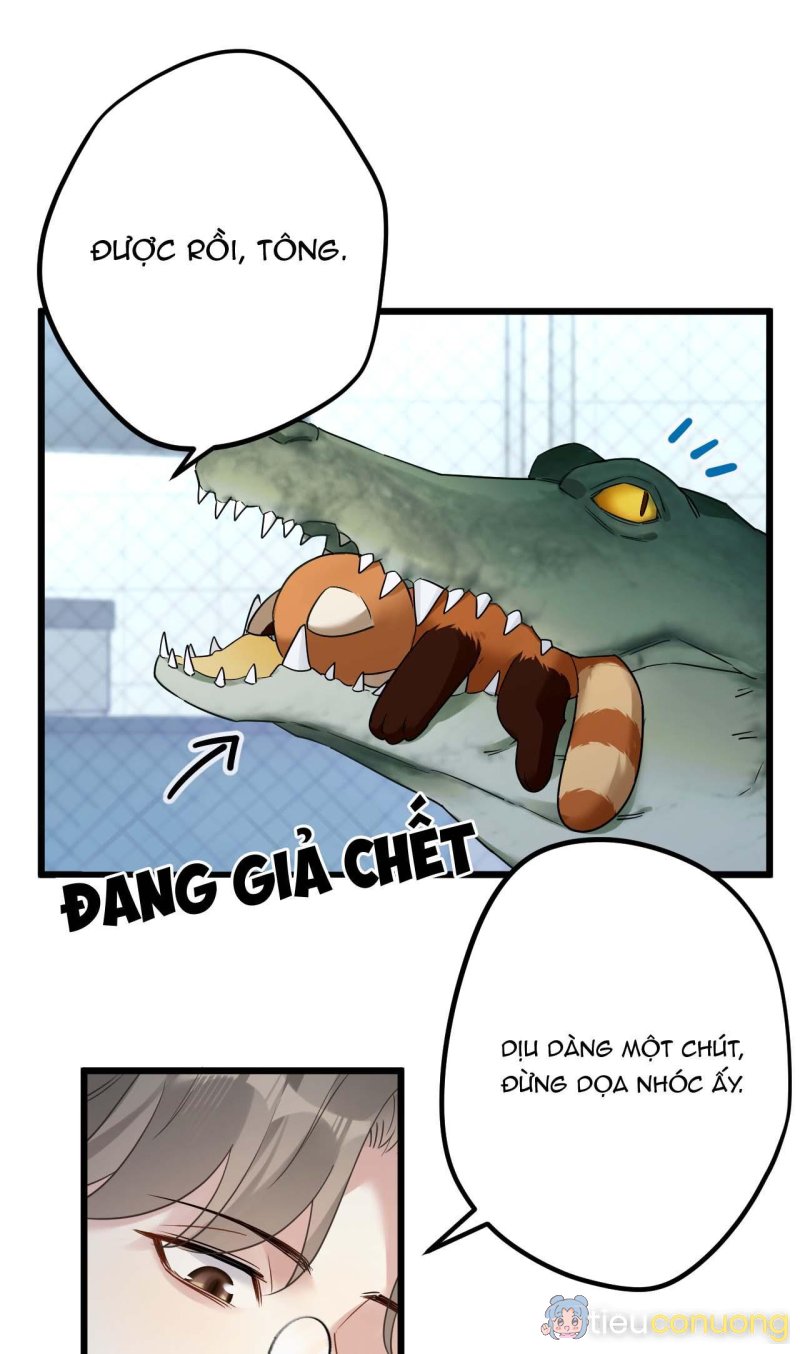 Chung Tình (END) Chapter 18 - Page 30