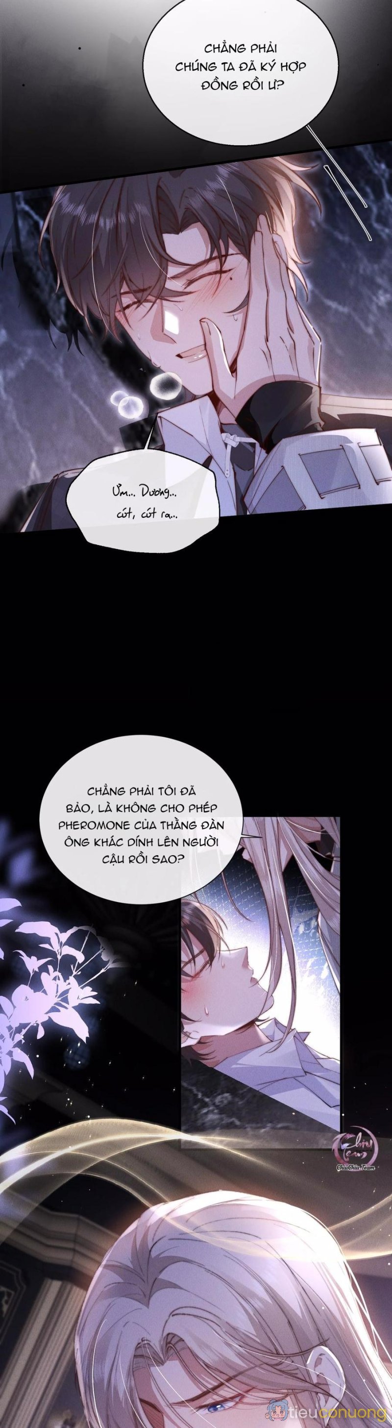 Phép Tắc Nuôi Dưỡng Chó Điên Chapter 31 - Page 12