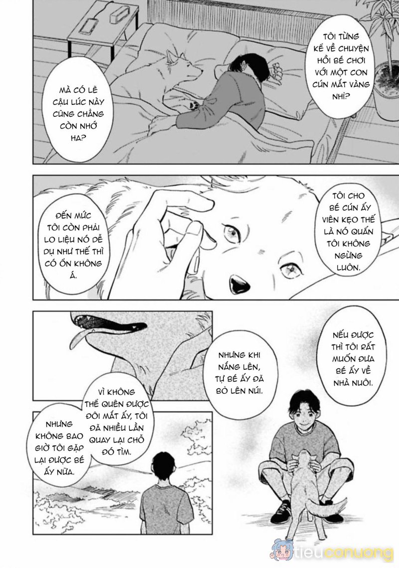 Lời Tỏ Tình Của Chú Sói Chapter 5 - Page 18