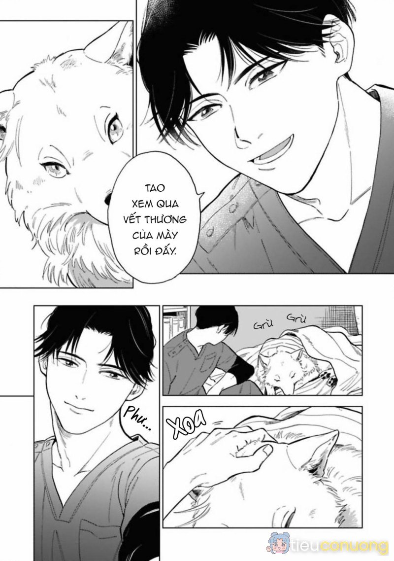 Lời Tỏ Tình Của Chú Sói Chapter 1 - Page 7