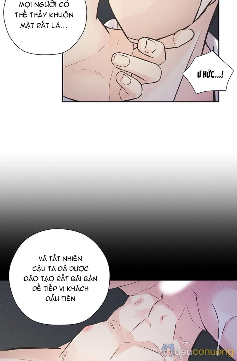 [on-going] Dòng Chảy Xa Bờ Chapter 1 - Page 12