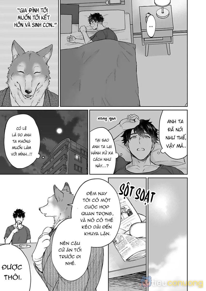 Chồng sói chẳng chịu ngủ cùng tôi Chapter 1 - Page 25