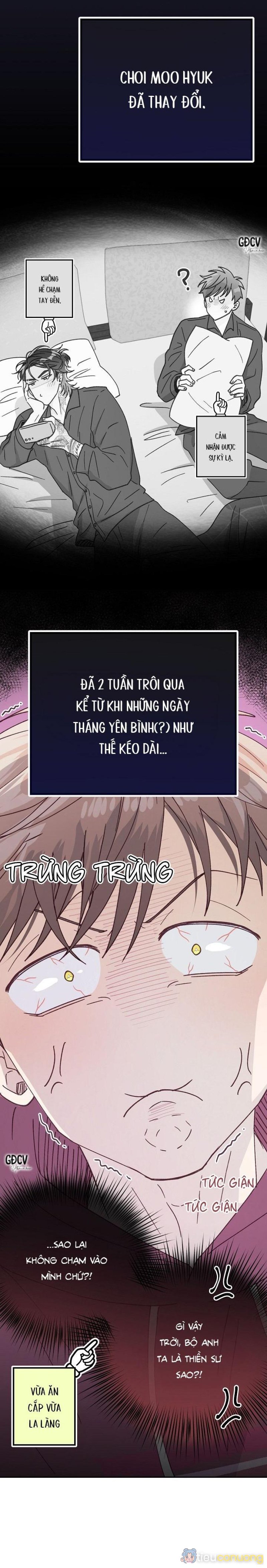 BẠN TRAI VÔ SONG CỦA TÔI Chapter 31 - Page 3