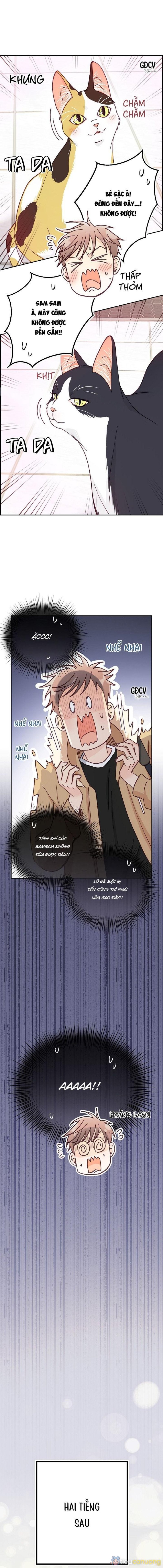 BẠN TRAI VÔ SONG CỦA TÔI Chapter 30 - Page 16