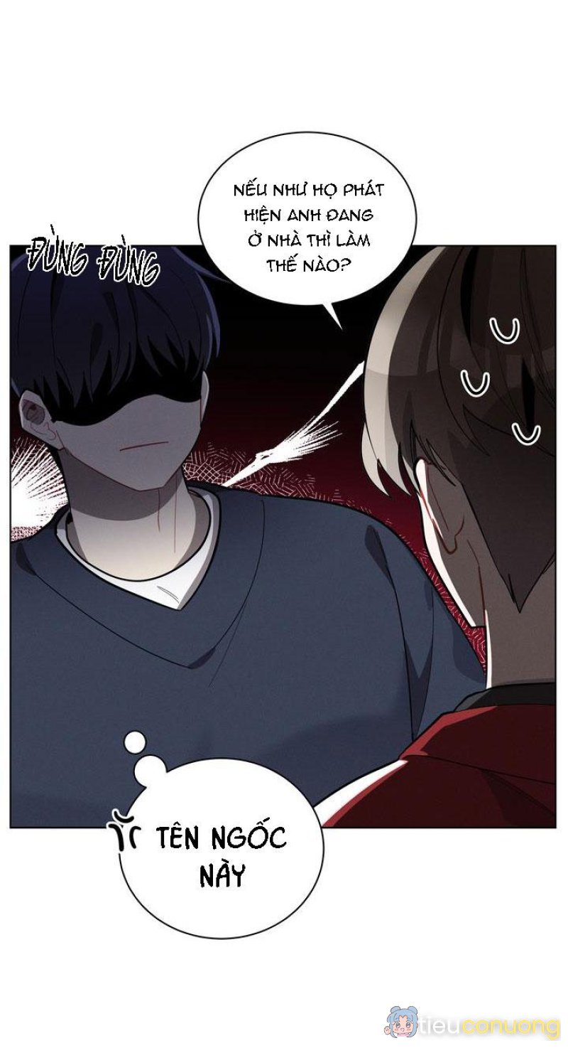 CHERRY SCANDAL Chapter 21 - Page 24