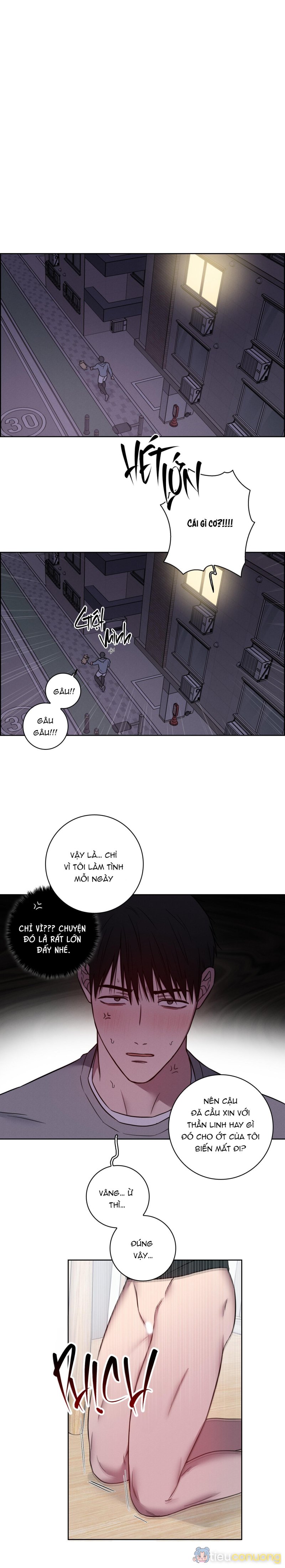 VỤ ÁN CON CU BIẾN MẤT Chapter 3 - Page 1