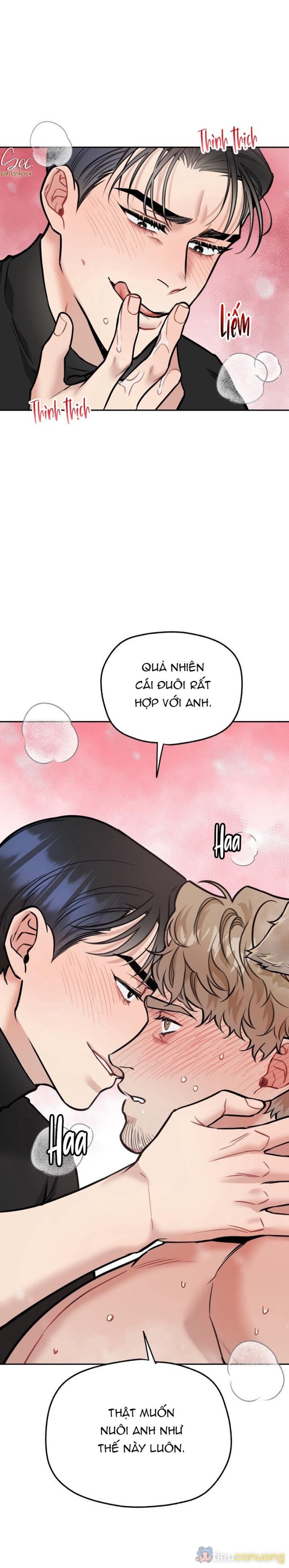 HƯỚNG DẪN BDSM CƠ BẢN Chapter 13 - Page 26