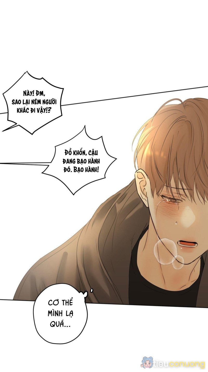 ÁI TÌNH VÀ DỤC VỌNG Chapter 33 - Page 22