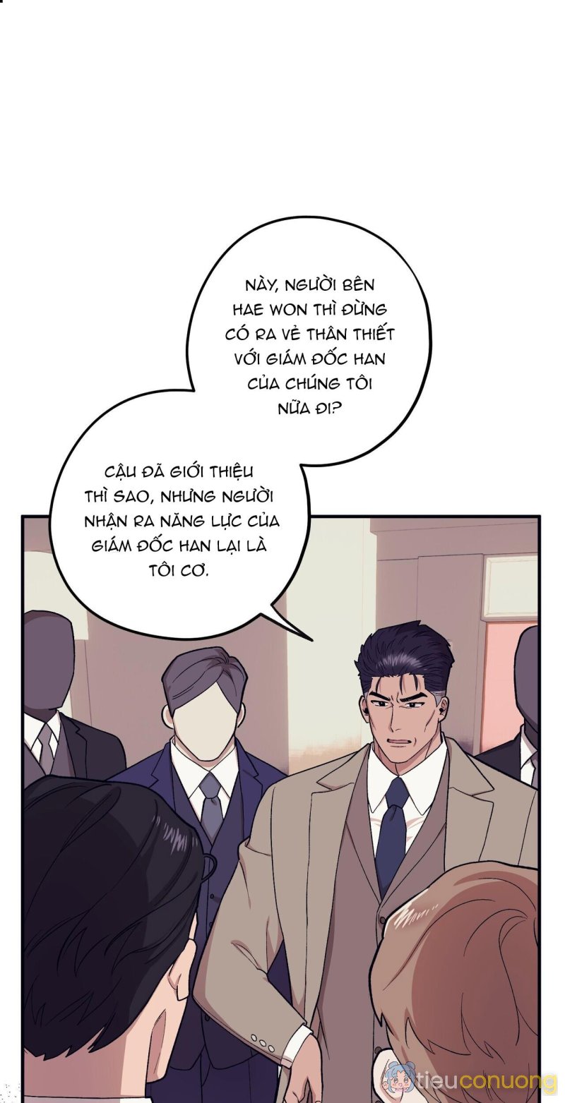 Làm dâu nhà tài phiệt họ Kang Chapter 60 - Page 67