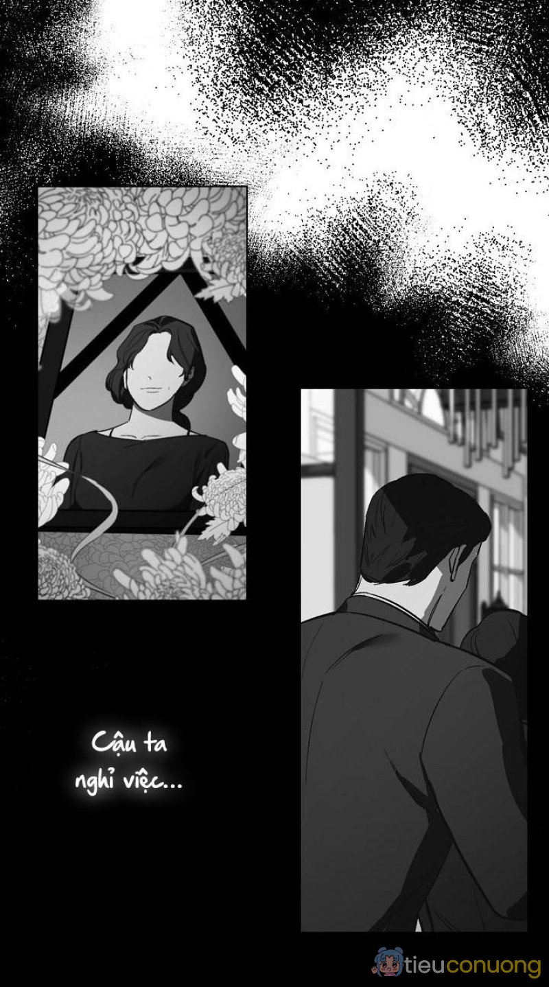 Làm dâu nhà tài phiệt họ Kang Chapter 12 - Page 48