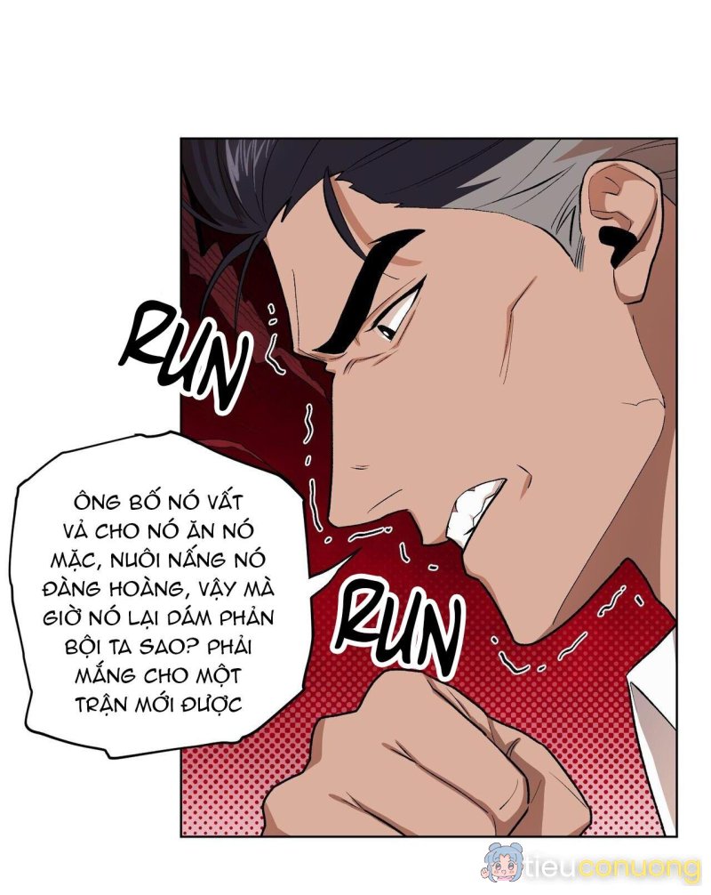 Làm dâu nhà tài phiệt họ Kang Chapter 66 - Page 23