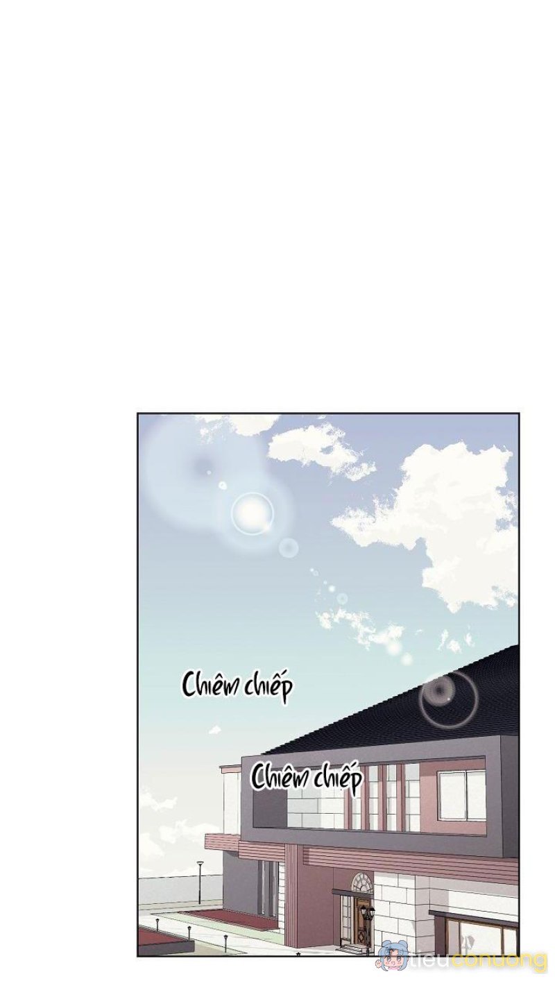 Làm dâu nhà tài phiệt họ Kang Chapter 13 - Page 21