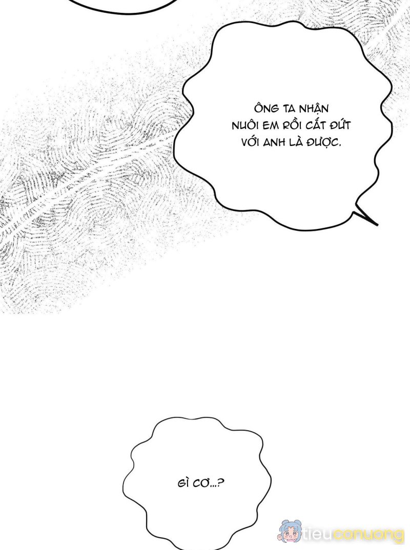 Làm dâu nhà tài phiệt họ Kang Chapter 33 - Page 51