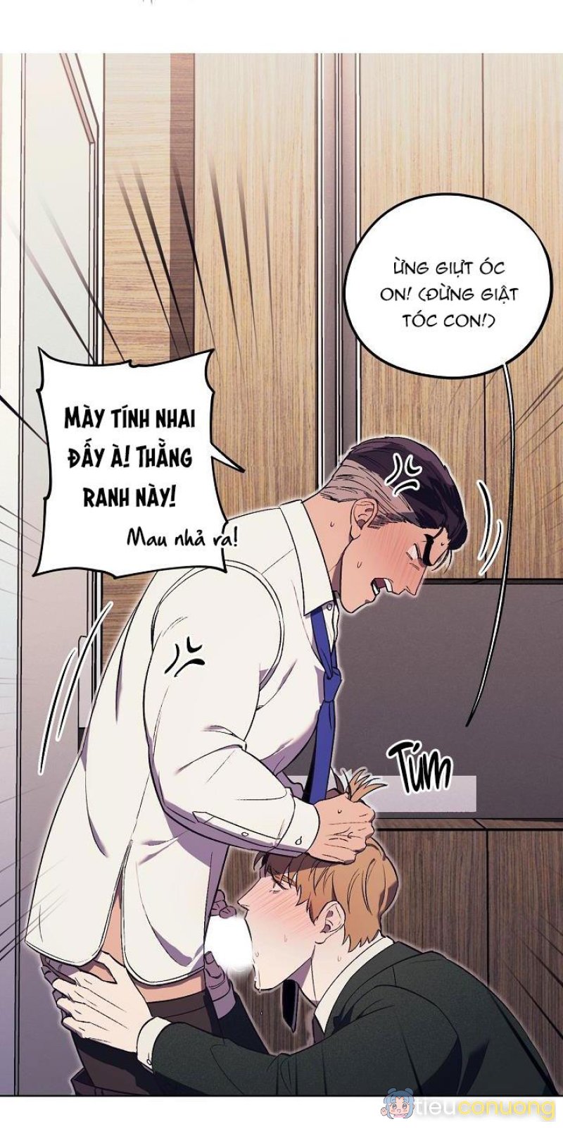 Làm dâu nhà tài phiệt họ Kang Chapter 16 - Page 12