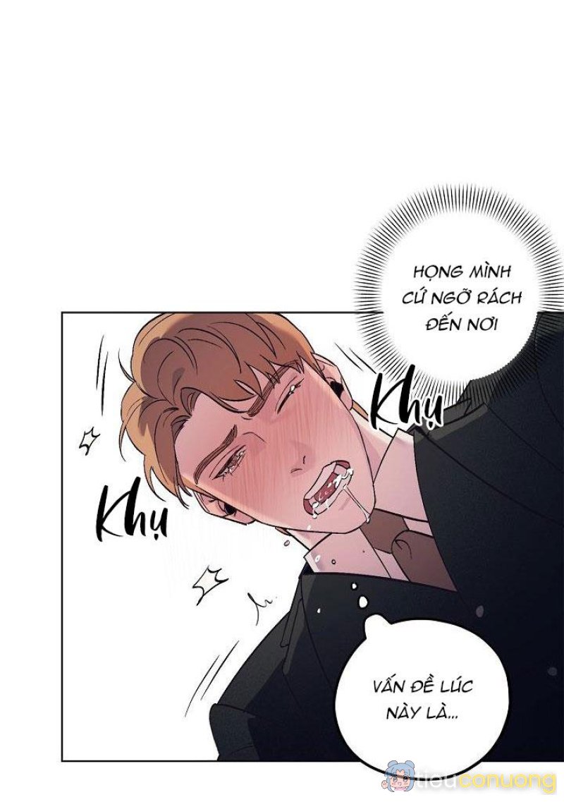 Làm dâu nhà tài phiệt họ Kang Chapter 16 - Page 36