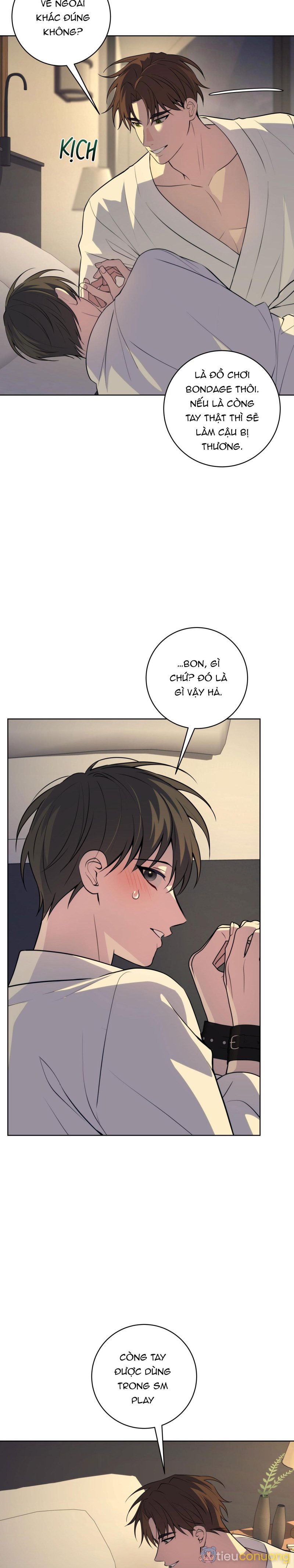 BA ĐÊM LÀM TÌNH THIỆT ĐẤY Chapter 19 - Page 2