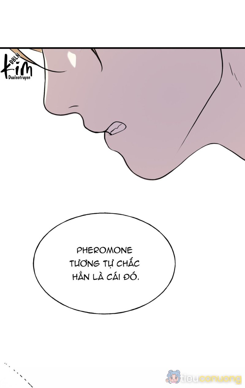 (ABO) ĐÁM CƯỚI HOÀNG GIA Chapter 22 - Page 23